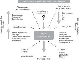 Mecanismos responsables de arritmias malignas (FV, TV, AESP) y paro cardiaco súbito. AESP: actividad eléctrica sin pulso; FV: fibrilación ventricular; TV: taquicardia ventricular.