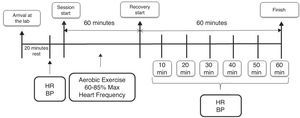 Schematic view of the exercise and evaluation protocol. BP, blood pressure; HR, heart rate; min, minutes.