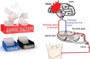 Pain neuroscience education slide illustrating nociceptive pathways and using the spam filter metaphor to illustrate descending nociceptive inhibition.