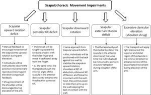 Planned intervention for Scapular Movement Training Group.