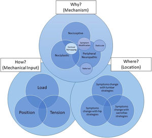 The why (mechanism), where (location), how (mechanical input) clinical reasoning model.