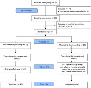 Flow diagram of patients throughout the course of the study.