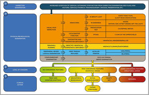 A decision tool for the triage of cervical autonomic dysfunctions. The 3 steps help clinicians determine the level of concern and plan a clinical action. Safety net is a management strategy that includes instructions to the patients on which clinical features to look out for and which action to take.