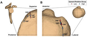 Average contact center location on the A) glenoid (lateral view), and B) humeral rotator cuff footprint (superior view). The proximity paths are labeled to indicate the first (100°) and last (140°) humerothoracic elevation angle assessed statistically. Between 100–140° humerothoracic elevation, the anterior aspect of the rotator cuff footprint was generally proximate with the posterior/superior aspect of the glenoid. Differences between groups existed in the anterior/posterior and superior/inferior location of the proximity center on the glenoid and the anterior/posterior location of the proximity center on the rotator cuff footprint.