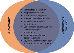 Similarities between inflammation and central sensitization.