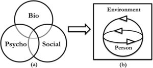 Moving from (a) the biopsychosocial Venn diagram, to (b) a schematic of a dynamic person (the inner circle represents the organism's internal dynamics) coupled (outer circle) to a changing environment (from Stilwell & Harman, 2019,14 reproduced with permission).