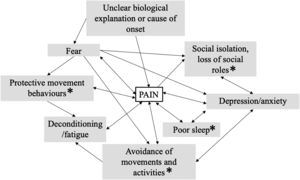 Mind Map that brings together the results of the clinician