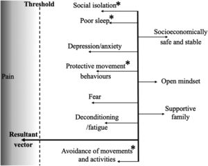 Vector Model showing a set of potential causal influences that dispose toward or away from the generation of pain, summarizing the Mind Map and adding protective factors. The resultant vector conveys the concept of tendency instead of necessary and sufficient causes. The effect (pain and disability) is reached when a single or combination of dispositions exceeds a threshold as different causal powers may interrupt, counteract, or intervene. Asterisks indicate most easily changeable factors identified by therapist and patient.