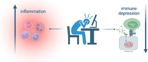 The pro-inflammatory (left) and immune depressing (right) effects of chronic stress exposure.