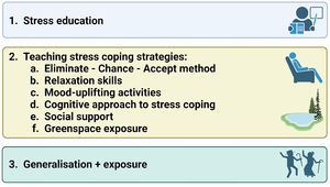 Content of the individualized stress management approach for patients with chronic pain.