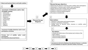 Phases of the physical therapy diagnostic concept work process using the Brazilian Classification of Physical Therapy Diagnosis.