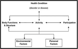 The International Classification of Functioning, Disability and Health (ICF).27This work is licensed under a Creative Commons Attribution 4.0 International Licensehttps://creativecommons.org/licenses/by-nc-nd/3.0/au/deed.en;Fig. 2long description: A diagram with three levels. The top level includes one section ‘Health Condition (disorder or disease)’. The second level includes three sections: ‘Body Structure and Function’, ‘Activity’, and ‘Participation. The third level includes two sections: Environmental Factors and Personal Factors. There are bidirectional arrows between each item on a level, and with items on adjacent levels.