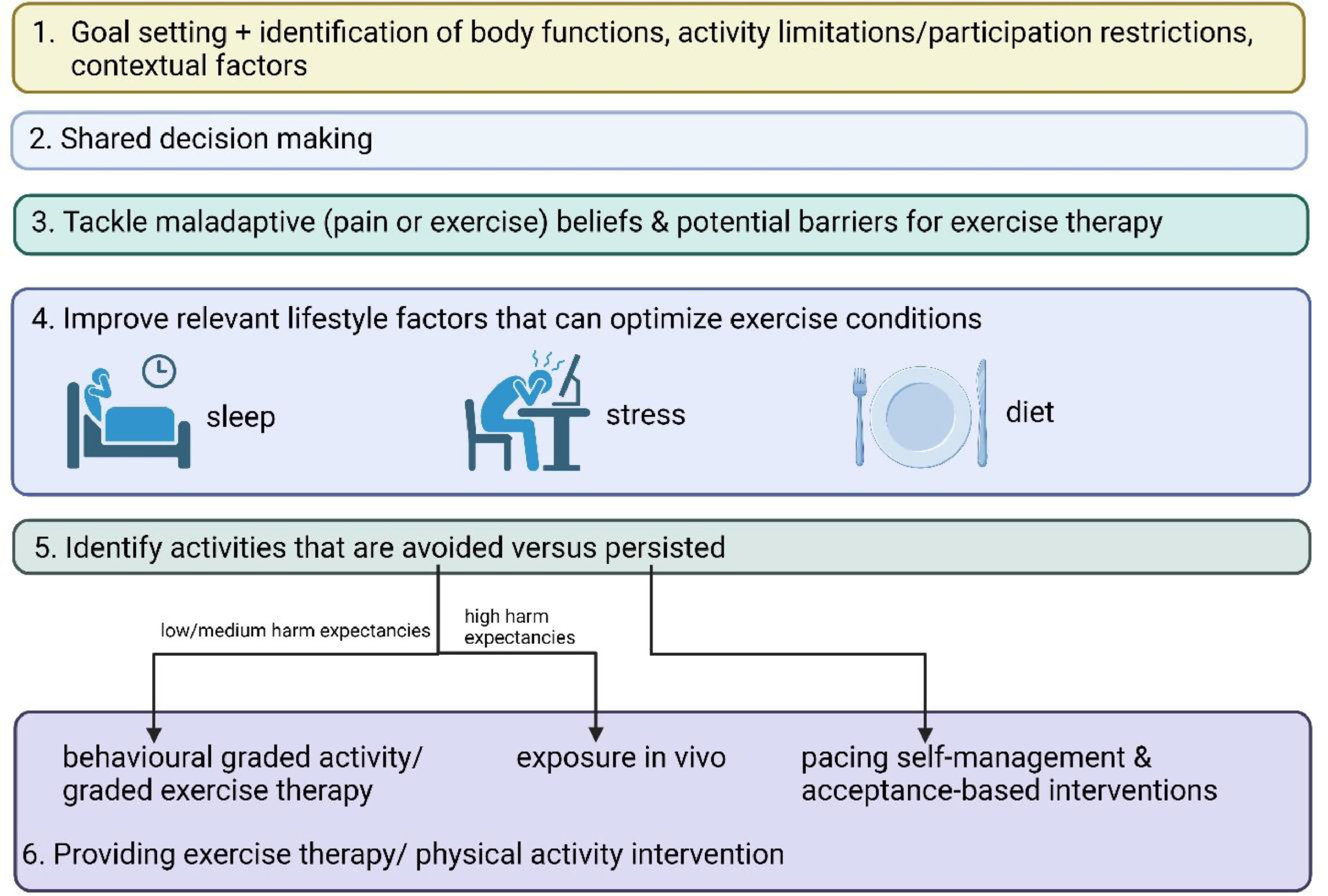 Exercise therapy and physical activity in the paradigm shift from a ...