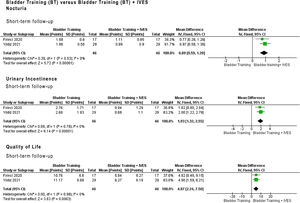 Meta-analysis bladder training (BT) vs bladder training plus intravaginal electrical stimulation IVES (BT + IVES).