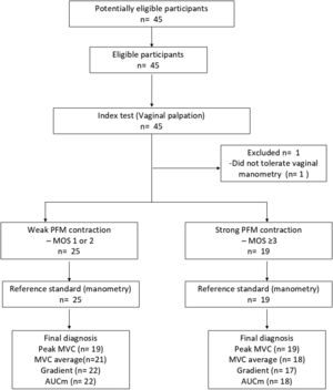 Flowchart of the study.