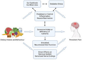 Action mechanisms behind the link between nutrition and persistent pain.