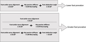 Profiles of greater and lower foot pronation during walking. The predictor variables are the varus alignment of the foot ankle measured in prone, hip passive stiffness to the internal rotation, and foot abduction angle at the initial contact of walking.