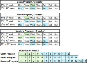 An illustrative example of the organization of the 3 programs. The days of the week chosen are merely an example and can be adjusted as needed; each center should choose the organization that suits them best. The PSE sessions are marked in green. The Therapeutic Exercise sessions are marked in blue. *At the end of each program, there is a final 2-hour PSE review session.