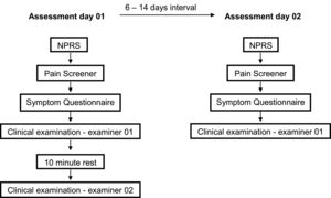 Formal assessment. NPRS, numeric pain rating scale.