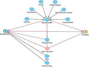 Direct acyclic graph of the association between disability and hospitalization.