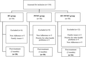 Flowchart of the randomization process in the study.