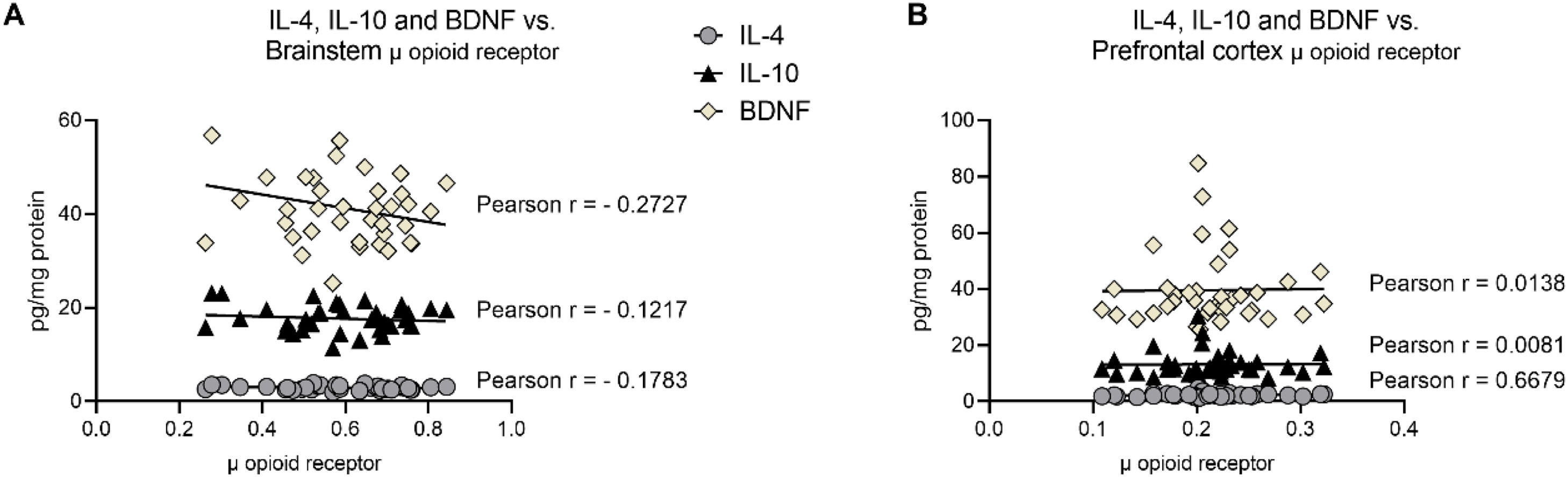 fig0005