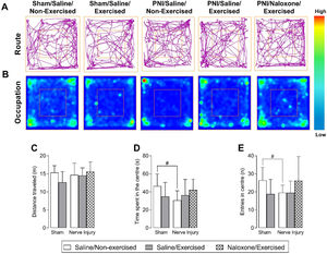 Effect of low-intensity treadmill exercise following sciatic nerve crush on the open field test. Illustrative images of the routes taken by the animals (A) and occupancy in the open field apparatus (B). Number of entries into the center of the apparatus (D). Total time spent in the central region of the open field apparatus (E). Values represent the mean ± SD of animals from the groups: Sham/Saline/Non-Exercised (n = 8), Sham/Saline/Exercised (n = 8), Nerve injury/Saline/Non-Exercised (n = 8), Nerve injury/Saline/Exercised (n = 8), and Nerve injury/Naloxone/Exercised (n = 8), statistically compared using a two-way ANOVA followed by Tukey