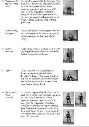 Details of the exercise program.