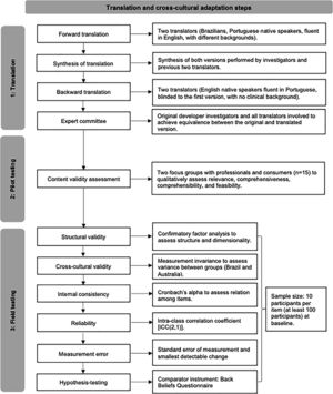 Translation and cross-cultural adaptation methodology overview flowchart.