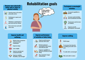 Three-month rehabilitation goals for knee osteoarthritis. Goals in dark blue boxes and subgoals in pale blue boxes.
