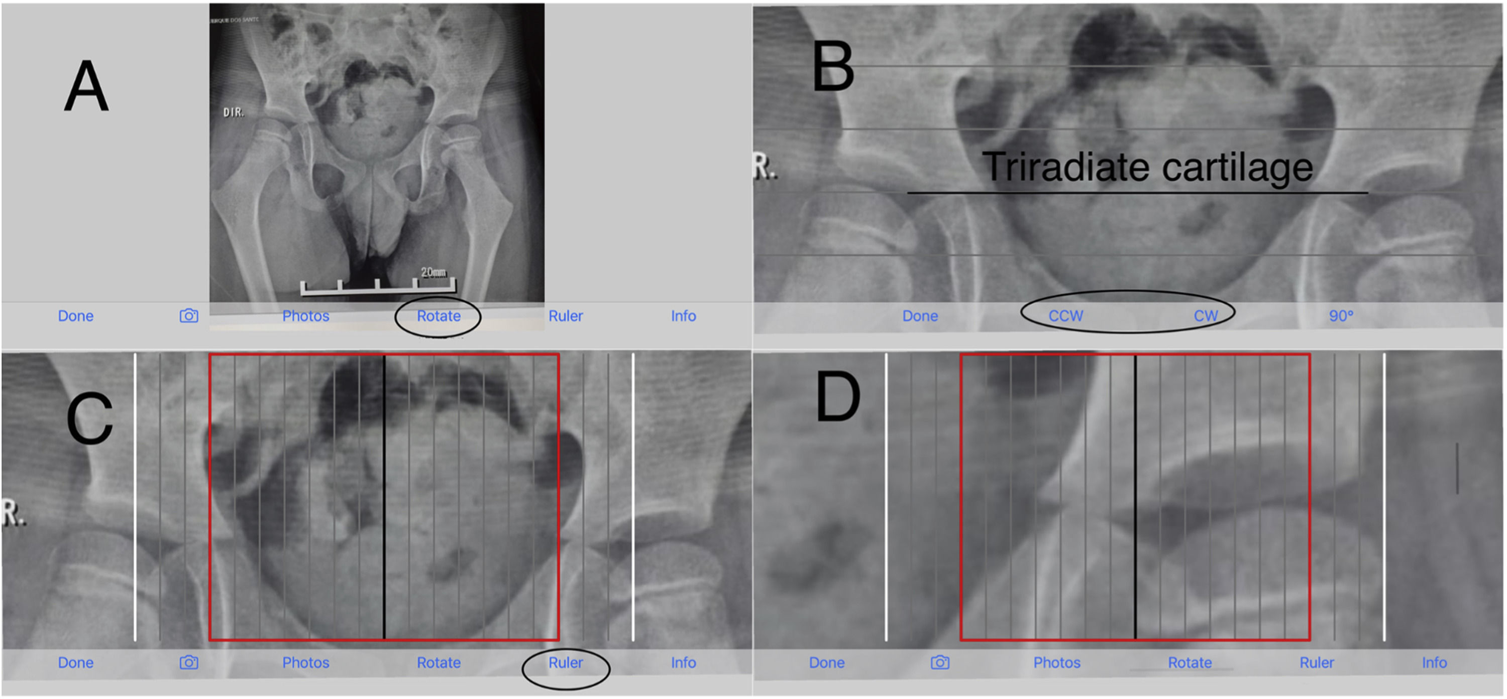fig0002