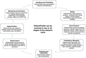 Patient/Public involved in different cycles of the research. Adapted from National Institute of Health Research (2014).
