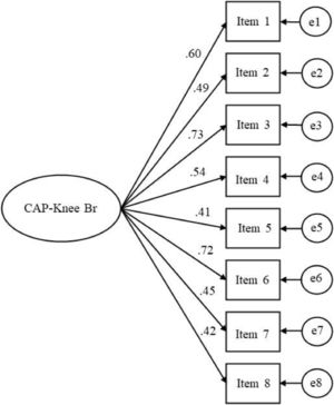 Structural model of the CAP-Knee Br obtained through confirmatory factor analysis (n = 65).