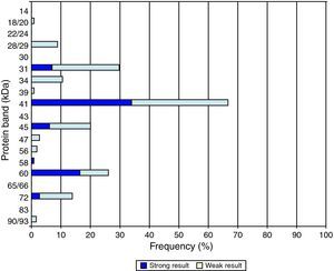 Frequencies of recognition and intensity of the borrelial protein bands on immunoblots (n=114) using sera from blood donors.
