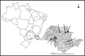 A map of São Paulo State (minor map) and Brazil (larger map), showing the cities (in black) were the 35 bats used in this study were collected. A) Catanduva, B) Ribeirão Preto, C) Altinópolis, D) Santo Antônio da Alegria, E) Monte Mor, F) Garça, G) Marília, H) Platina, and I) Paraguaçú Paulista.