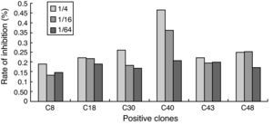 Inhibition ratio of the six phage clones located in gp41. Clone8, clone18, clone30, clone40, clone43, clone48. Clones were four-fold serially diluted from 1:4 to 1:64 and HIV-positive plasma diluted 1:800.