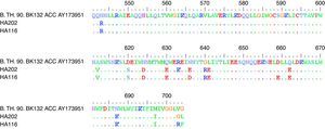 Amino acid sequences of the gp41 regions from P2 and P9 plasma viral. The C40 sequence is boxed in black and mimics the region located at B.TH.90 reference sequence residues 637-648.