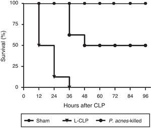 Effect of P. acnes-killed on survival rate of cecal ligation and puncture (CLP) rats (n=8). The data are expressed as the cumulative percentage of rats still alive within each interval and the survival each 6h was recorded. Compared with CLP group, P. acnes-killed improved survival within 96h. All animals survived in the sham group. p<0.05 vs CLP group.