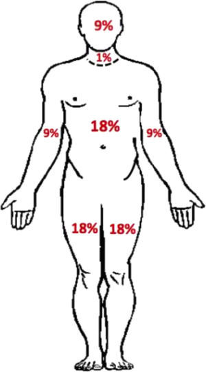 Practical scheme for determining percentages of body surface area (BSA) affected by skin reactions in adults.
