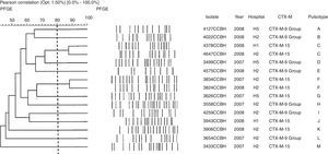 Clinical data and molecular typing of CTX-M-producing E. cloacae.