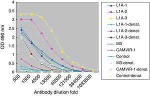 Antibodies from vaccinated mice recognize confirmation-dependent epitopes. ELISA plates were coated with HPV16 L1 VLP or the denatured VLP (-denat.) and anti-sera in L1A group, M3 and CAMVIR-1 were used for the detection.