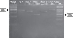 Electrophoresis in agarose 3% showing patterns of polymorphism of the restriction fragments obtained with the product of PGMY09/11 used for genotyping of the HPV89 (LR). *100pb and 50pb=ladder DNA; acontrol: PGMY09/11 PCR product of 450pb without enzymatic digestion. Restriction enzyme: Pst I=not digestion; Hae III≅350pb; Dde I≅250pb; Rsa I≅380pb.
