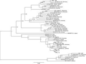 Neighbor-joining phylogenetic tree based on pre S/S gene from 7 Brazilian HIV-HBV coinfected patients (HBC) and reference sequences representing all known HBV subgenotypes available at the GenBank. The numbers at the nodes represent the bootstrap support values (% obtained for 1000 replicates).