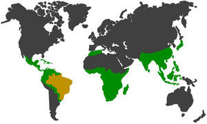 In green and yellow, the geographic distribution of non-human primates52,54,56,57. In yellow, Brazil which has large range of species and subspecies of neotropical non-human primates in the wild fauna, representing approximately 21% of the group in the world.56,57