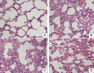 Histopathological studies of lung tissue. Light microscopy showed lung sections of rats in the (A) sham-operated (SOP) group, (B) cecal ligation and puncture (CLP) group, (C) CLP+NS group, and (D) CLP+HSD group. Sections were stained with hematoxylin and eosin (original magnification, 200×).