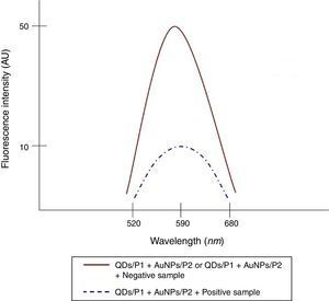 Fluorometric peaks of QDs/P1+AuNPs/P2 solution and solution contained QDs/P1+AuNPs/P2+positive sample obtained by spectrophotometer.