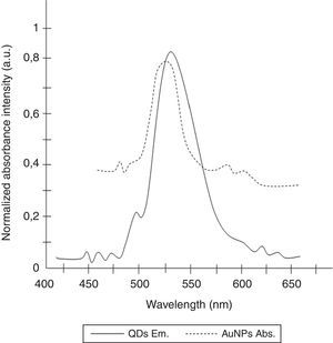 Overlap between QDs emission spectrum and AuNPs absorption spectrum.