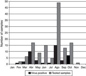 Monthly distribution of acute respiratory viral infections among adults in Rio de Janeiro between August 2010 and November 2012.