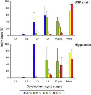 Temperature influence on A. aegypti life cycle. Four groups of fifty larvae each were separated after the eggs hatched, and maintained at 20°C, 24°C, 28°C, or 32°C. On day 7, the number of individuals in the different stages of development was recorded (larval stages L1, L2, L3, L4, or pupae or adults). Experiments were performed in triplicate. The mean (±standard deviation) percentage of viable individuals on day 7 is presented for the Higgs and University of São Paulo (USP) strains.