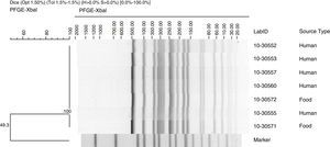 Dendrogram pulsed field gel electrophoresis patterns of Salmonella Alachua strains. LabID (identification number) and source type (human or food) of the Salmonella Alachua strains analyzed. Marker: Salmonella Braenderup H9812 digested with XbaI enzyme was used as a molecular size.